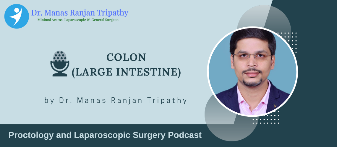 Colon - Dr Manas Tripathy
